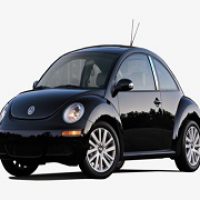 New Beetle